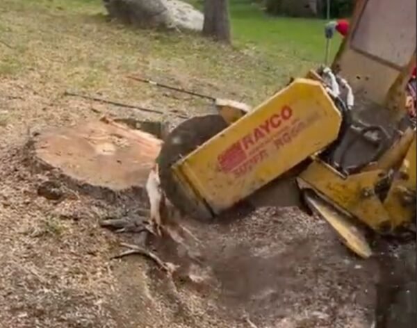 WhatsApp Image 2026-03-10 at 6.32.39 PM